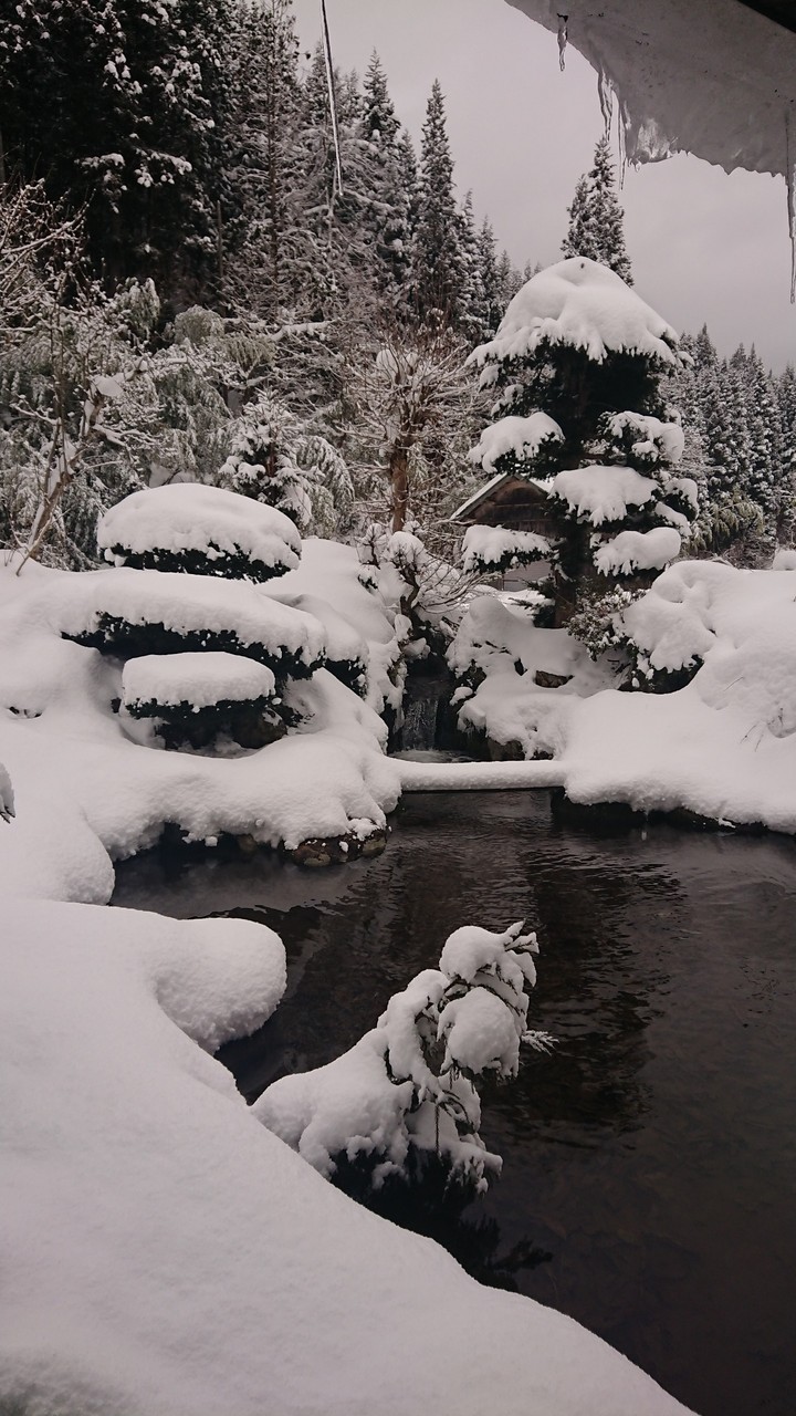 雪景色