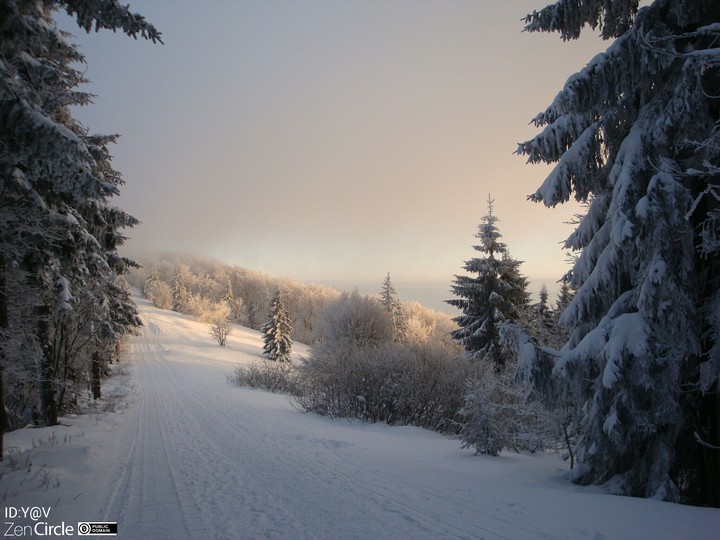 winter