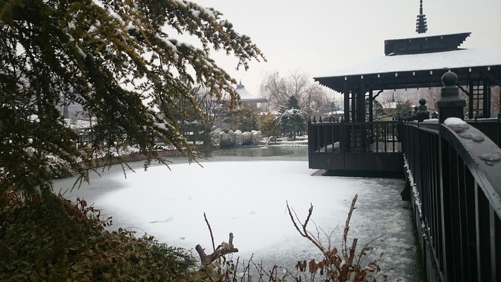 Winter......
