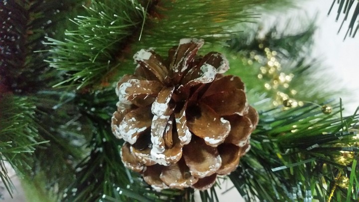 cones