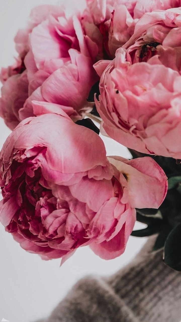 flovers