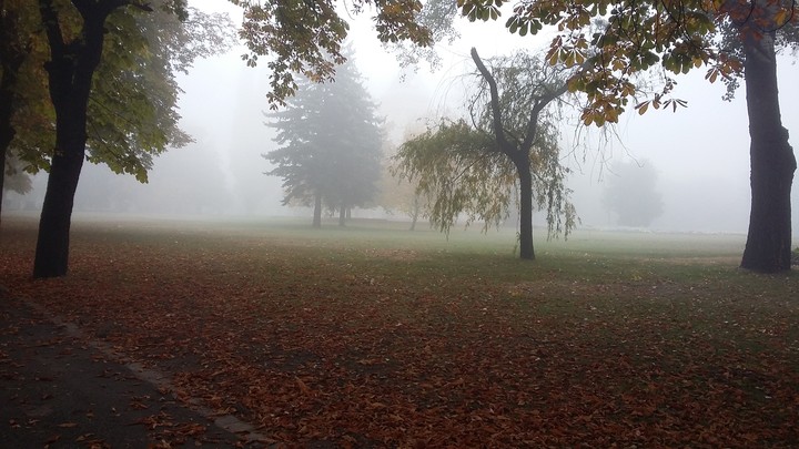 Foggy