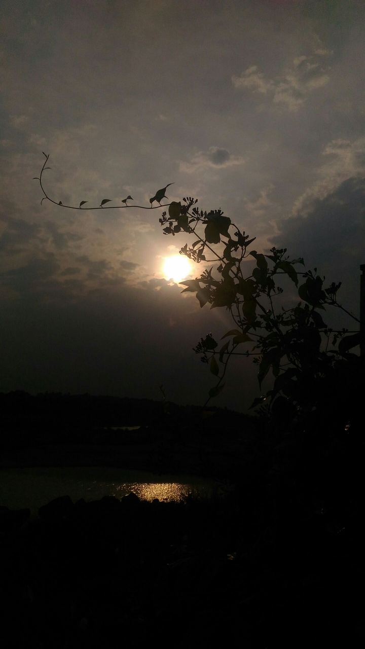 sun set