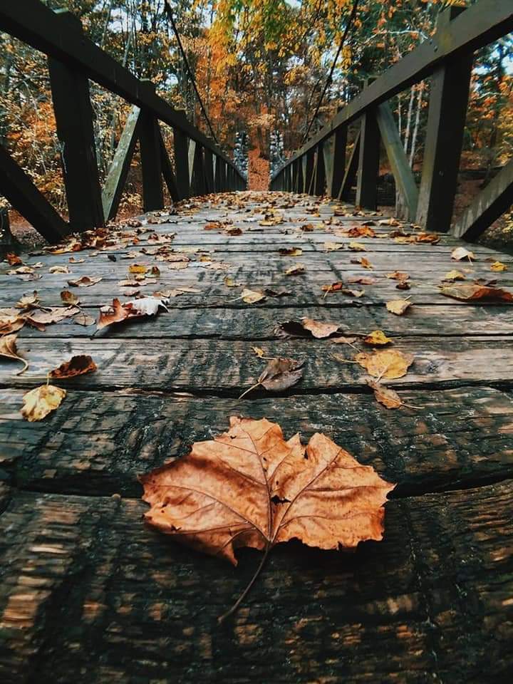 nature is beautiful