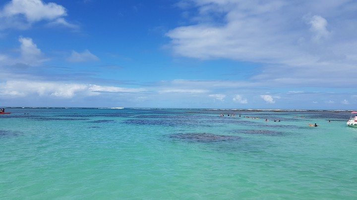 Maragogi