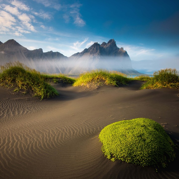 desert