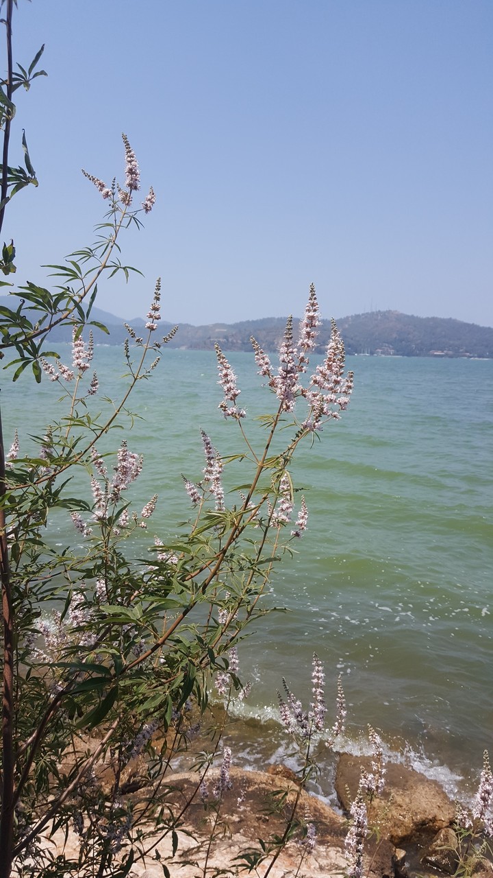 sea
