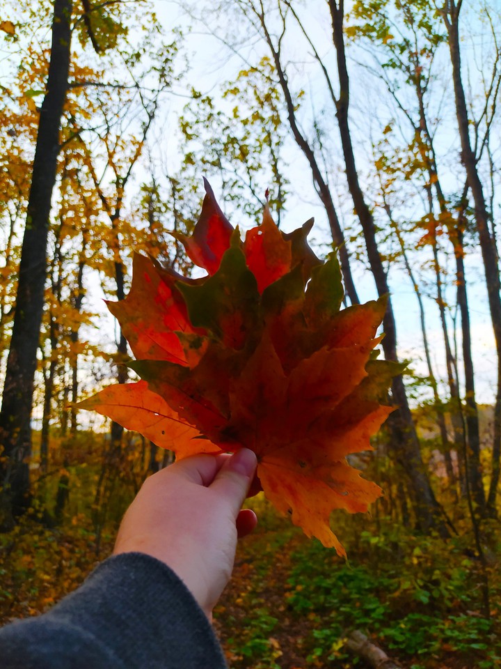 autumn