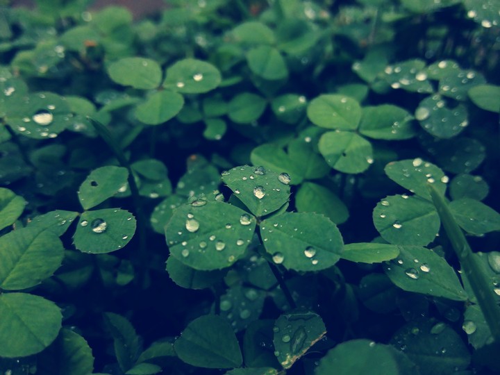 #green