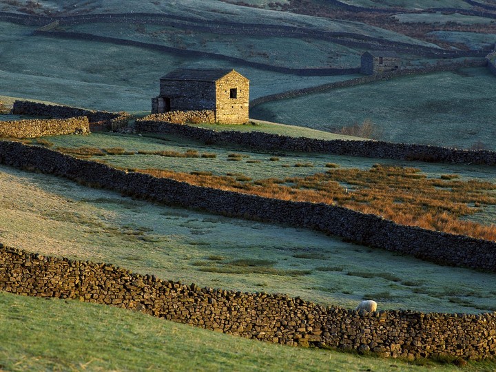 Muker Common, Yorkshire Dales, England