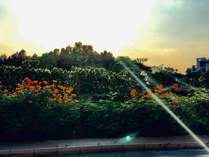 Ray of hope....