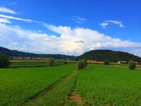campo verde
