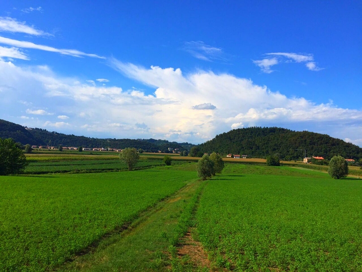 campo verde