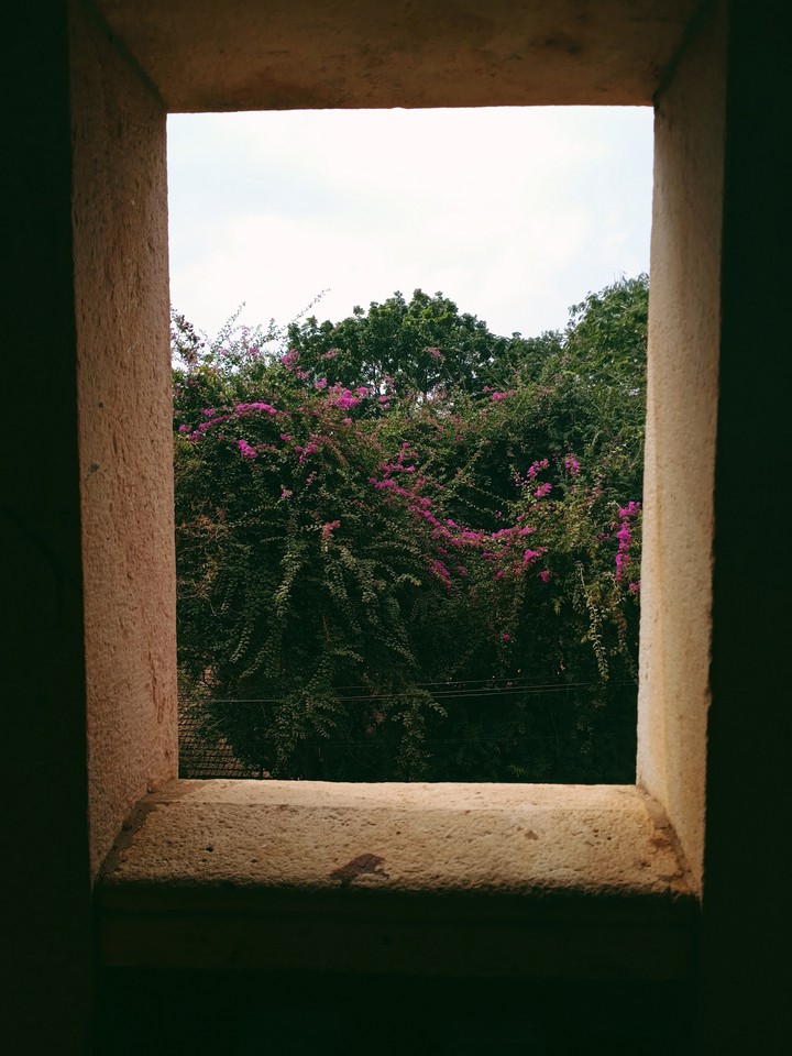 karanata universities window frame