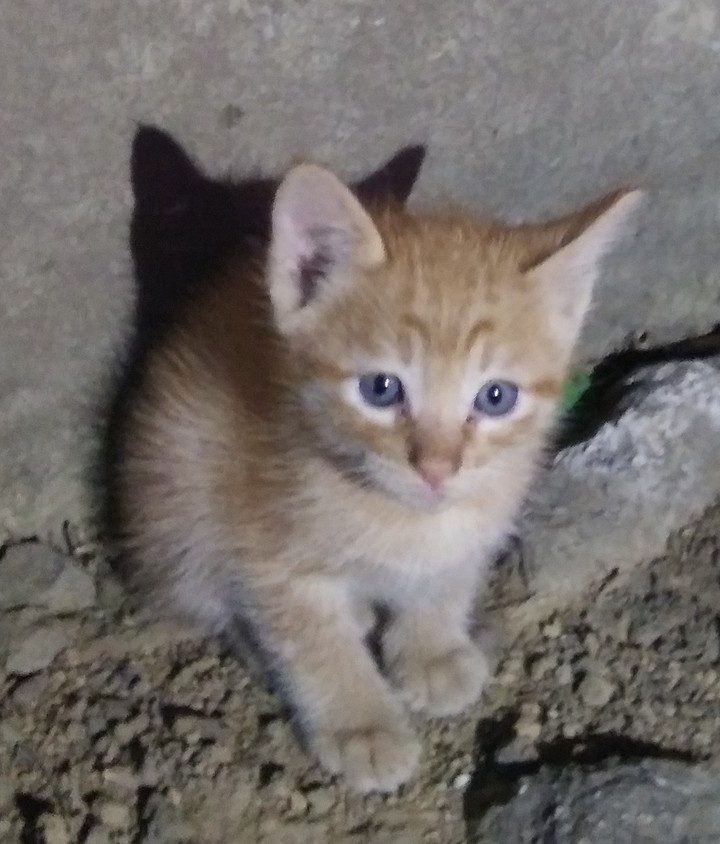so cute