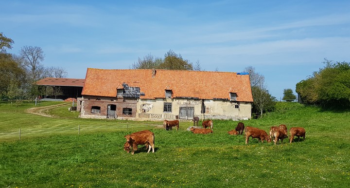 Ferme