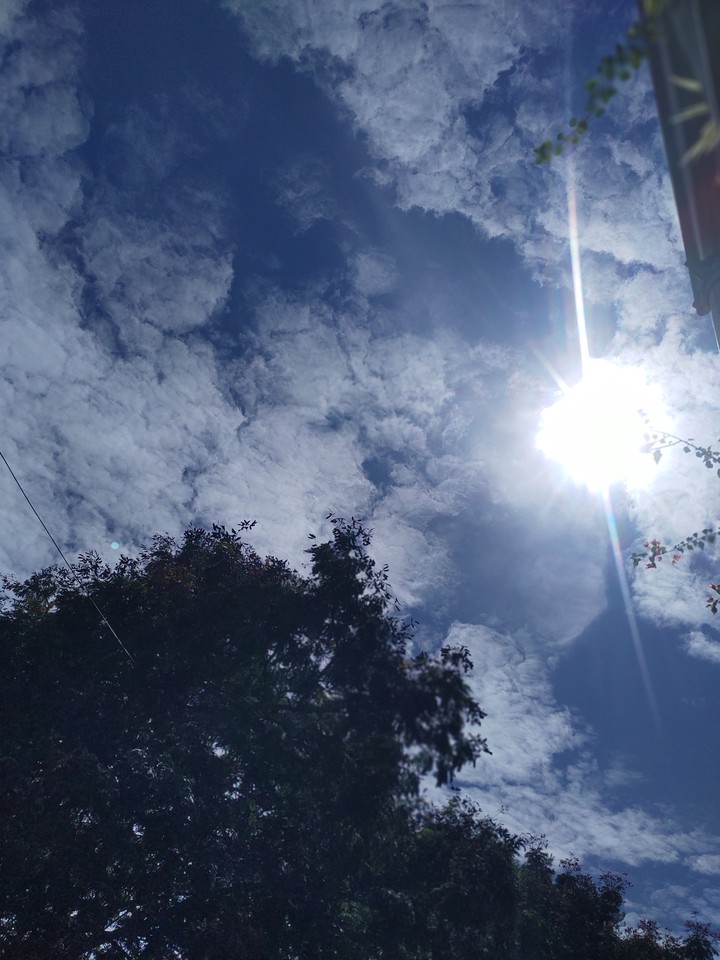 Blue Sunny Day