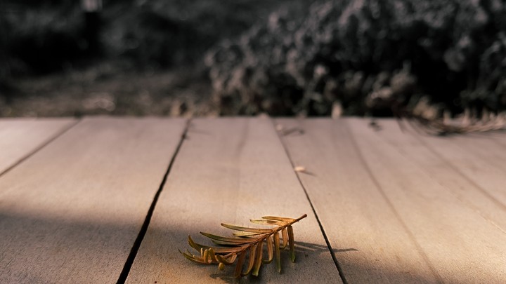 leaving you at the lonesome bench