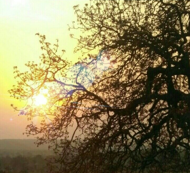 Dawn