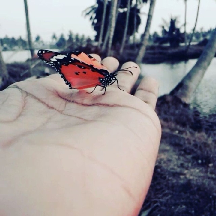 Nature photography#Random Clicks