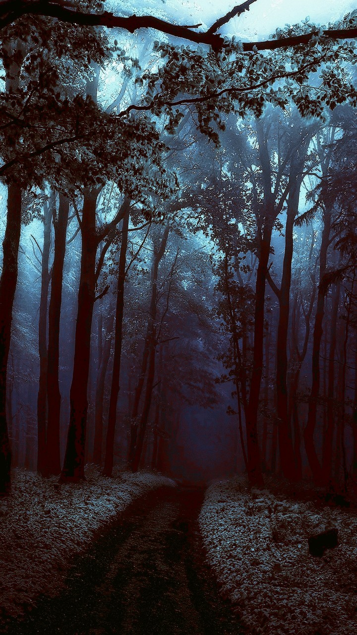 Loneliness