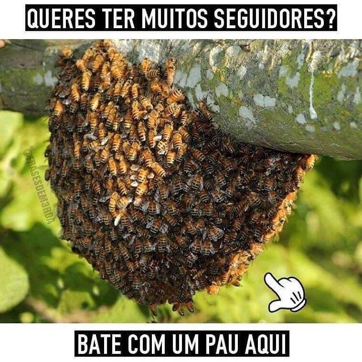foge