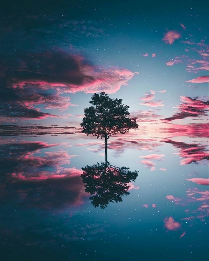 tree