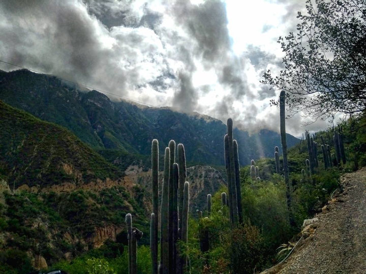 Mountains