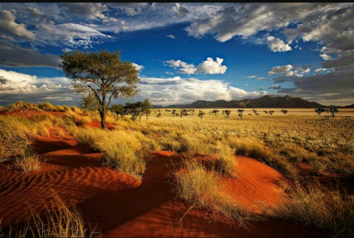 The desert
