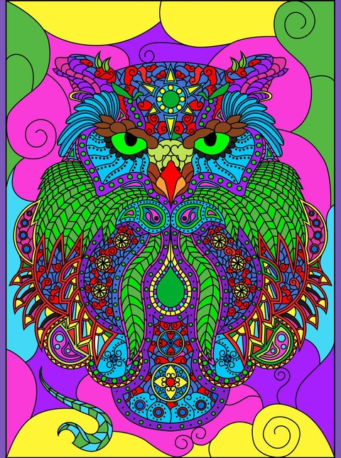 Love Owls