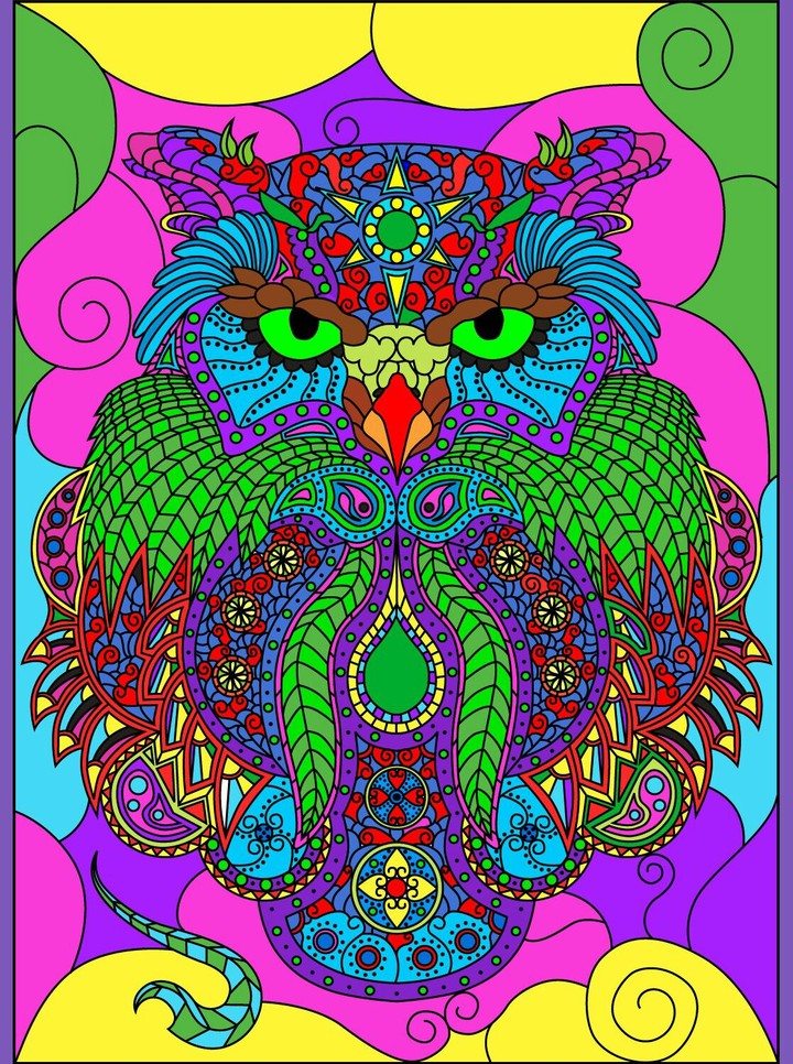 Love Owls
