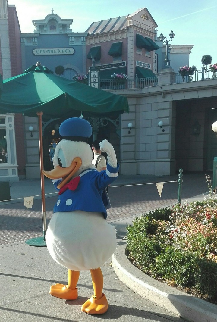 DISNEYLAND PARIS
