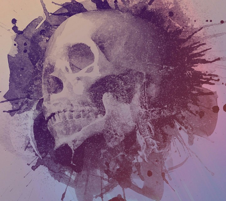 Well Coloured Skull