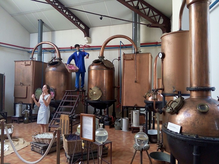 Distillation à Molinard