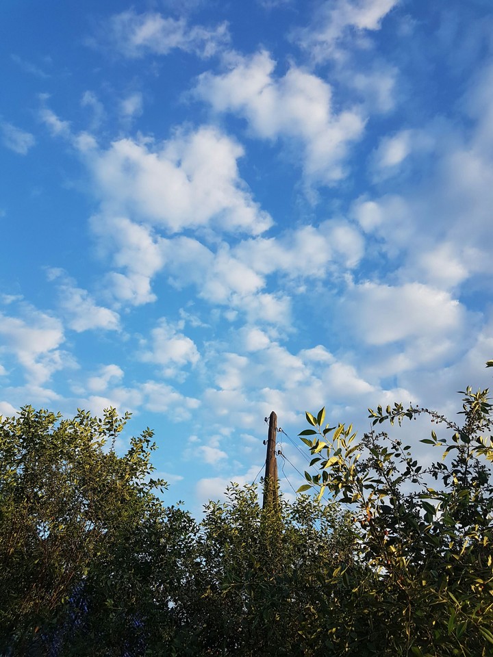 Sky