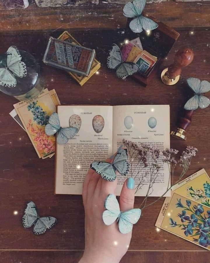 ‏لا أهتم أبدًا بما يثير إهتمام الجميع أحب النوادر .