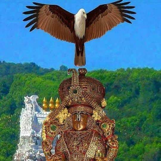 NARAYANA NARAYANA NARAYANA NARAYANA NARAYANA NARAYANA