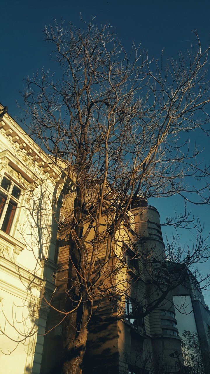 bucharest