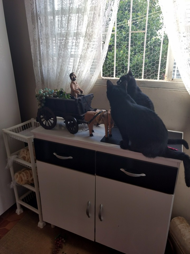 NeNê ♥️ e ♥️ PiMPiM