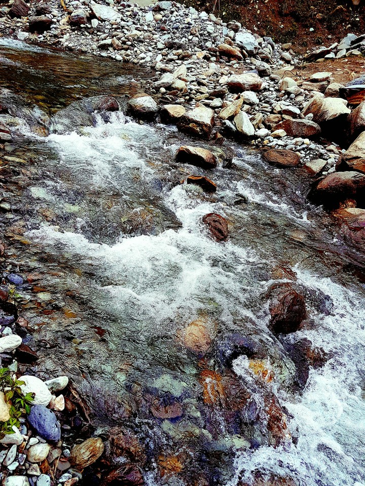 water glory