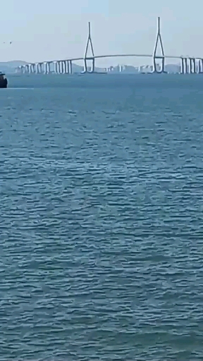 인천 앞바다 멀리 보이는 영종대교