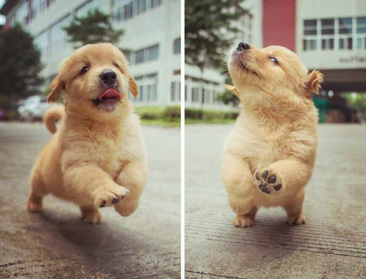 cute