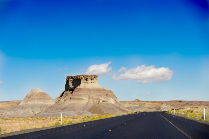 Arizona