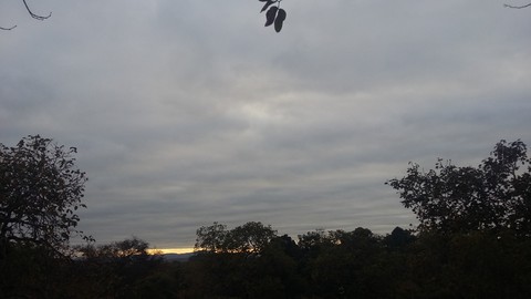 Sunrise