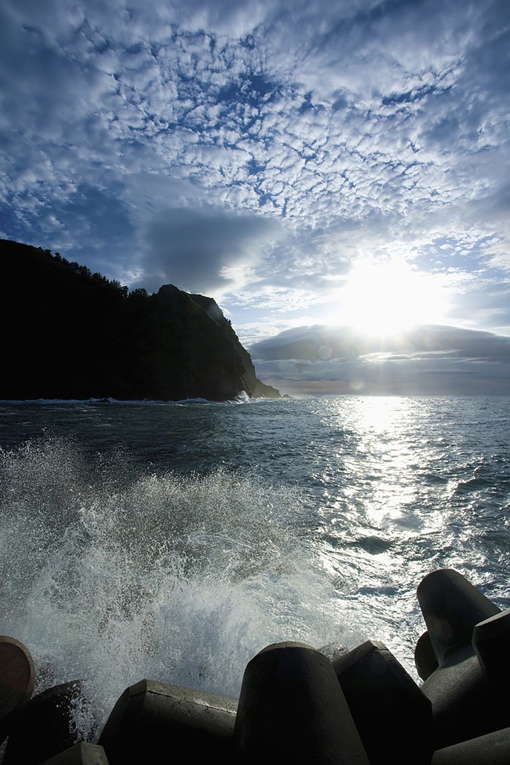Life and sea