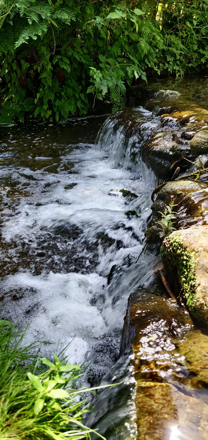 flow