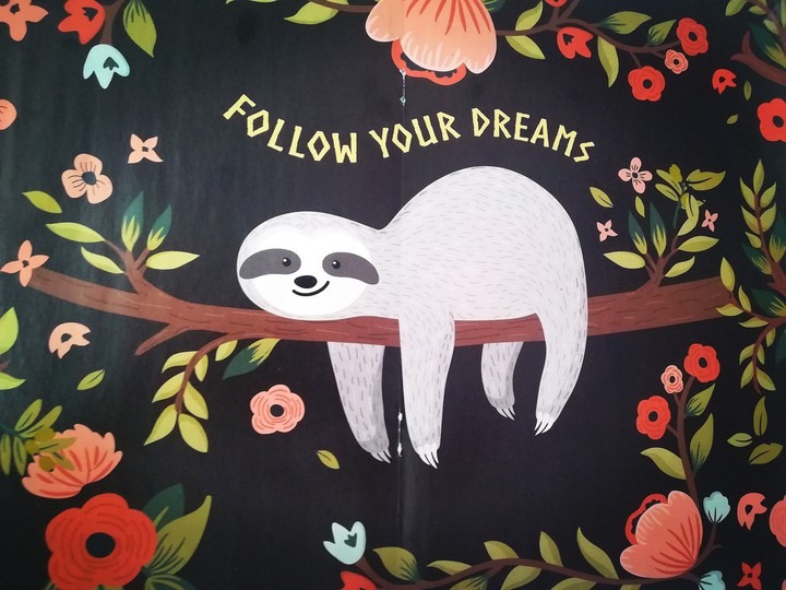 Follow your Dreams and make them come true!
