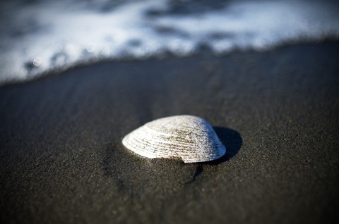 Drifting Ashore