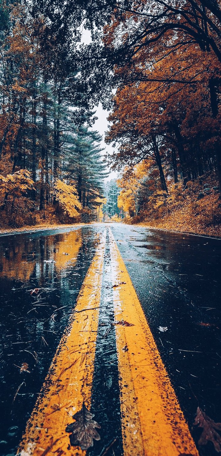 rain
