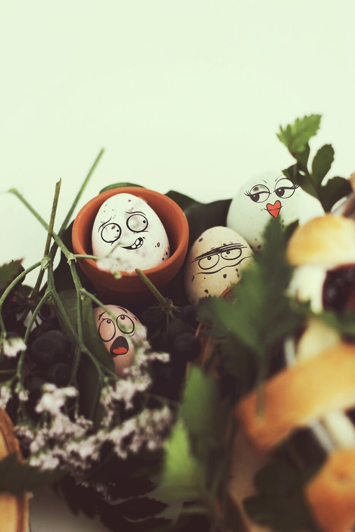 eggs